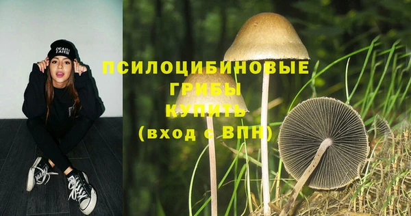 ECSTASY Заводоуковск