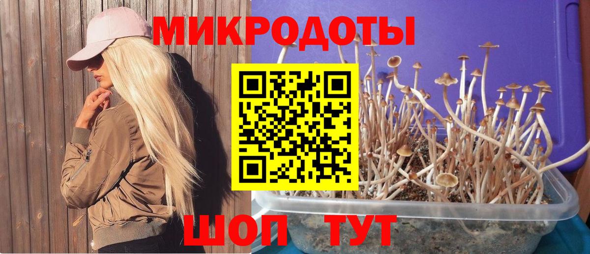 Галлюциногенные грибы GOLDEN TEACHER  Вход с VPN  Зеленокумск  Псилоцибиновые грибы ЛСД 