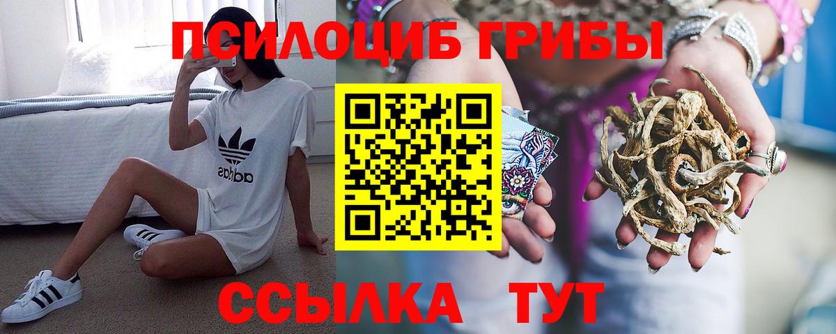 Галлюциногенные грибы Psilocybe Зеленокумск